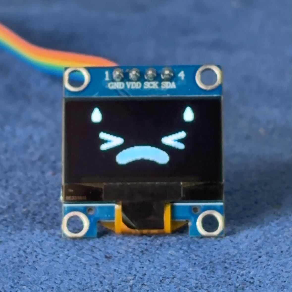 572010462 17852485140569043 8355410566474044169 N